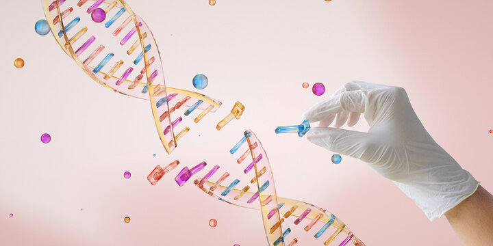 Gain-of-function research. A section of DNA is breaking apart. CRISPR-Cas9. Genetic medicine. Photo stock