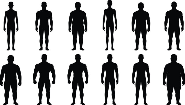 Male Body Types Vector Silhouette Icons Set Including Slim Athletic Muscular And Overweight Figures