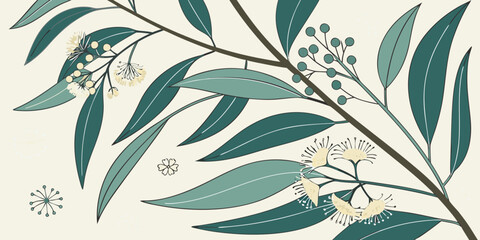 Eucalyptus branch with leaves and flowers botanical art eucalyptus botanical © dddd