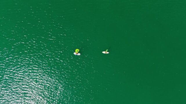 Two individuals are paddle boarding on a green ocean on a clear day. Sunlight reflects on the water surface.