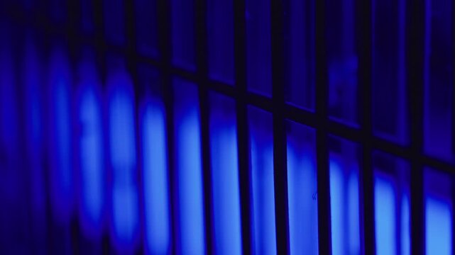 Electric ultraviolet insect trap glowing in darkness, illustrating household pest control, mosquito prevention and home hygiene