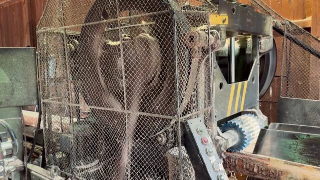 Industrial Log Debarker in Sawmill &ndash; Tree Trunk Processing Machine, Timber Industry and Wood Manufacturing, 4K Video