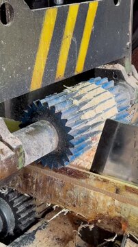 Industrial Log Debarker in Sawmill &ndash; Tree Trunk Processing Machine, Timber Industry and Wood Manufacturing, 4K Video