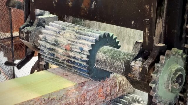 Industrial Log Debarker in Sawmill &ndash; Tree Trunk Processing Machine, Timber Industry and Wood Manufacturing, 4K Video