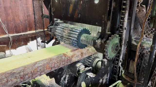 Industrial Log Debarker in Sawmill &ndash; Tree Trunk Processing Machine, Timber Industry and Wood Manufacturing, 4K Video