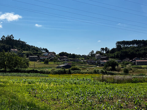 Rural village and green fields along the Camino de Santiago, Spain