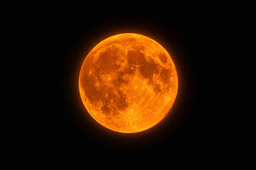 Fototapeta premium A bright, orange-red full moon is visible against a black night sky.