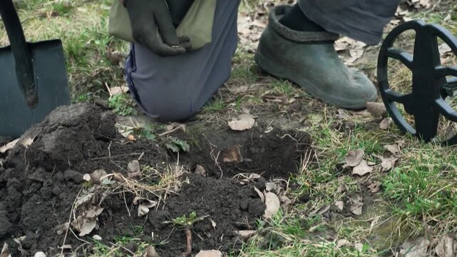 Male treasure hunter in gloves uses a metal detector and digs into the ground, uncovering a hidden object amidst soil and leaves in a natural outdoor setting