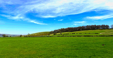 Obraz premium A picturesque landscape unfolds with lush green fields beneath a vibrant blue sky, where rolling hills and scattered trees add to the serene, open beauty of Cringles Lane in Silsden, UK.
