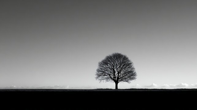 Minimalist black and white silhouette of a single tree against a pale gray sky