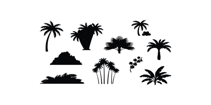 Set of black palm tree silhouettes and tropical island vegetation elements
