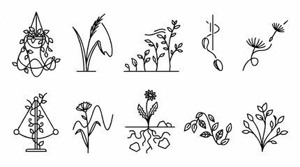 Obraz premium A collection of hand drawn botanical illustrations featuring various plants and flowers in a minimalist line art style.