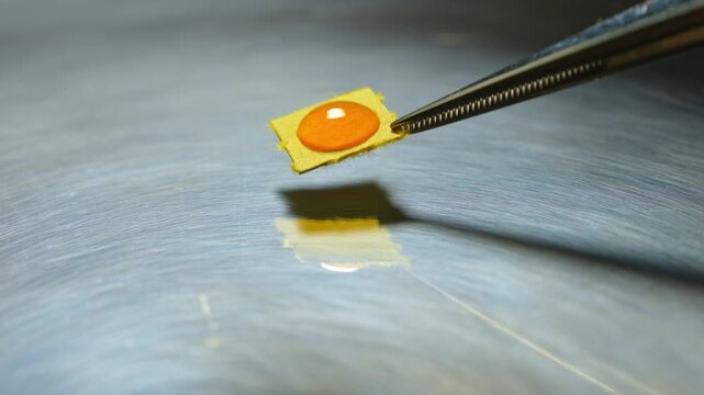 LSD blotter paper in lab setting as part of controlled psychedelic research including microdosing studies and clinical trials exploring LSD‑assisted therapy for conditions like depression and PTSD.