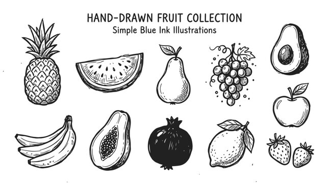 Set of hand drawn fruit illustrations featuring pineapple watermelon pear grapes avocado banana papaya pomegranate lemon
