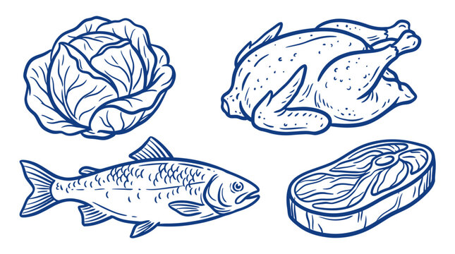 Hand drawn food sketch set featuring fresh cabbage whole chicken raw fish and a slice of beef steak meat illustration