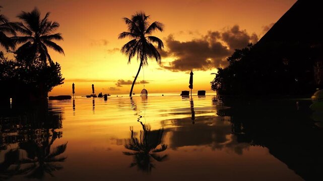 Tropical sunset view over infinity pool with palm tree silhouettes