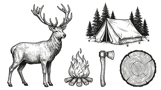 Hand drawn vintage illustration of a deer stag camping tent campfire axe and wood log for outdoor adventure design