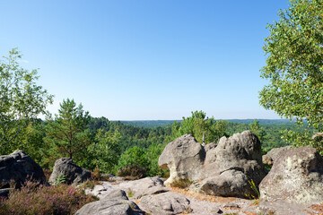 The Rocher au Four in the 25 bumps circuit. Fontainebleau massif © hassan bensliman