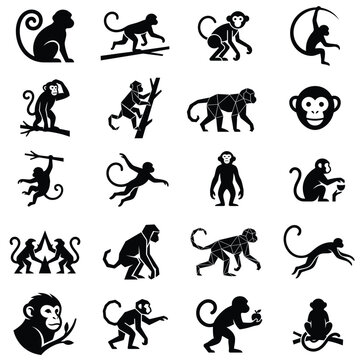 Black Vector Illustration of Monkeys in Different Poses Monkey Silhouette