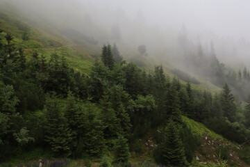 fog in the mountains © Anna