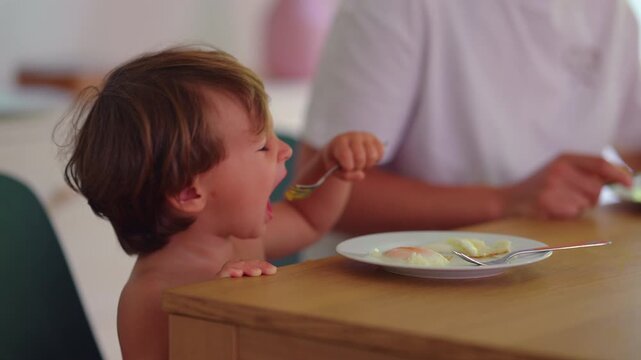 Toddler eating eggs at breakfast table, enjoying healthy morning meal and family routine