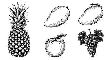 Detailed black and white line drawings of various fruits with different fruits including including pineapple two collection five black two bananas apple © Kamola