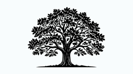 Fototapeta premium Majestic Oak Tree Silhouette, Symbol of Strength and Nature