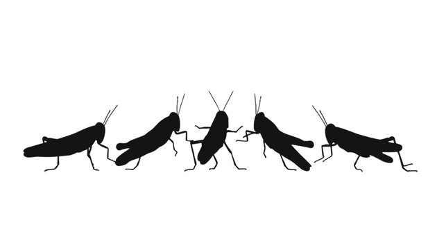Grasshoppers stand in a line on a plain white background to create a simple and clear illustration.