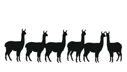 Obraz premium Llamas stand in a peaceful row within this clean graphic illustration of South American herd animals.