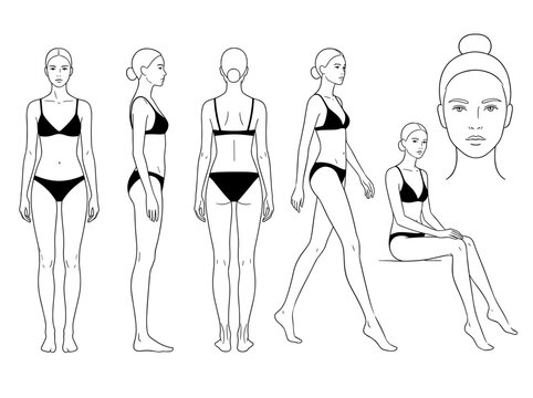 Minimal Line Art Female Character Turnaround Reference Sheet Vector Illustration with Front Side Back Walking Seated and Portrait Views