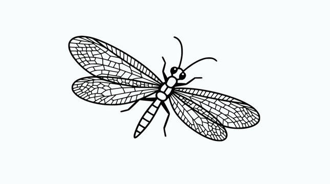 Delicate Lacewing Insect Illustration - Detailed Wings and Antennae