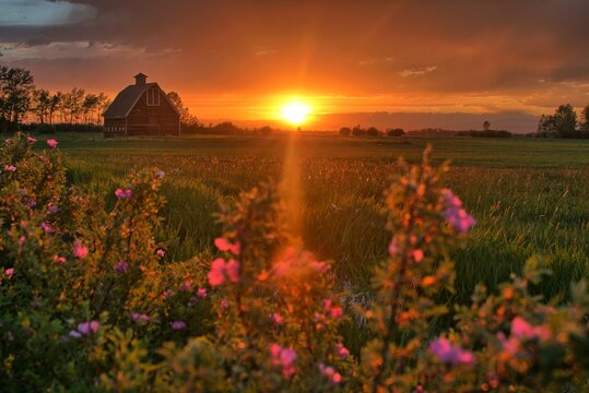 Montana Barn Sunset