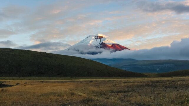 Golden sunset in the Andean highlands with the Cotopaxi volcano in the background and the grasslands swaying in the wind.