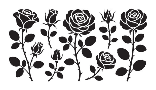 Black roses set isolated on white background, various elegant rosebuds and blooming flowers with leaves.