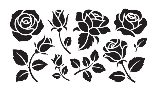 Black roses set isolated on white background, various elegant rosebuds and blooming flowers with leaves.