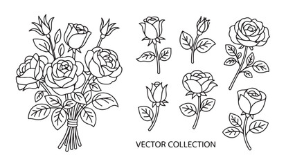 Fototapeta premium Elegant rose bouquet and individual flowers set in outline style perfect for wedding and greeting design.
