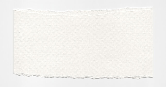 Deckled handmade paper tears into uneven fibrous margins that frame an isolated sheet for watercolor fragments stationery accents collage borders pigment tests and layered pulp arrangements
