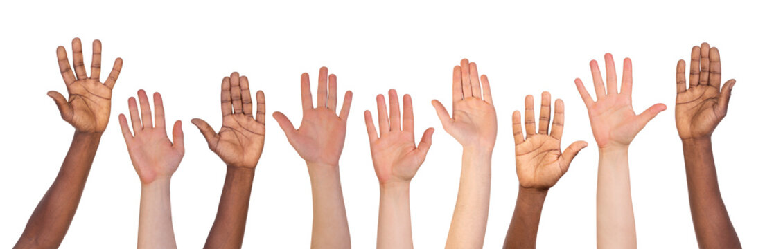 Many different hands up isolated on white or transparent background 