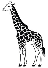 Giraffe Silhouette Against A White Background Black And White Illustration © MDHASAN