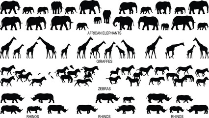 Black silhouettes of various African safari wild animals including elephants, giraffes, zebras, and rhinos © MDMUNTASSER