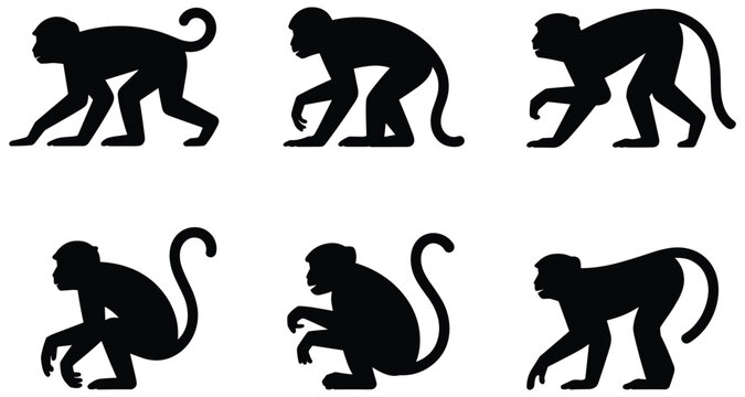 Monkey silhouettes on a white background a collection of animal shapes