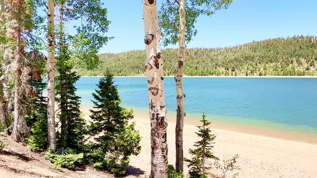 A breathtaking slow motion video of vibrant turquoise Navajo Lake nestled in a mountain forest of pines and aspens. Mountains and clear blue sky frame the sunny landscape in Dixie National Forest.