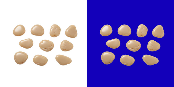 A collection of smooth light brown fava beans arranged on two contrasting split background colors