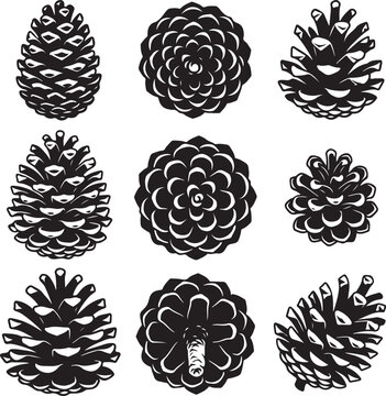 Vintage pine cone vector set, black and white botanical conifer seed illustrations, rustic forest pinecone silhouettes for winter holiday decor