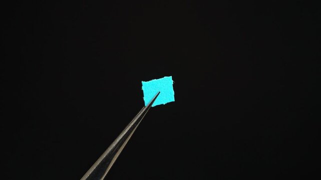 Tweezers with LSD acid blotter paper examination concept for health therapy research. Laboratory set, microdosing discovery and development. Mental health clinic trial treatment for PTSD depression.