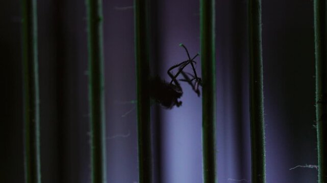 Fly splits in two as rapid electrical bursts repeatedly zap its body inside a blue insect killer, showing violent electrocution, pest destruction and sudden impact