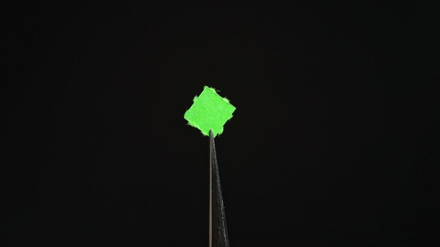 Tweezers with LSD acid blotter paper examination concept for health therapy research. Laboratory set, microdosing discovery and development. Mental health clinic trial treatment for PTSD depression.