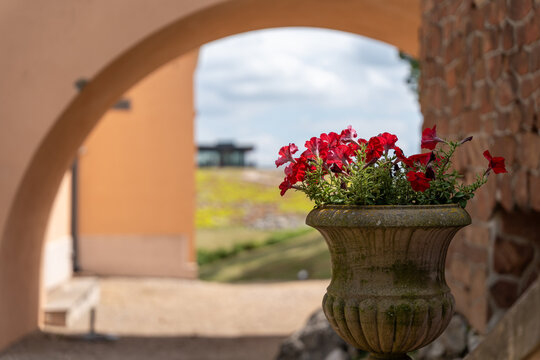 red flowers beneath the vaulted ceiling
