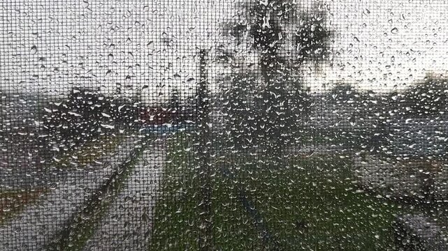 Raindrops on a window screen with a blurred road outside. Wet mesh and rainy outdoor scene in soft focus. Rain, weather, texture.