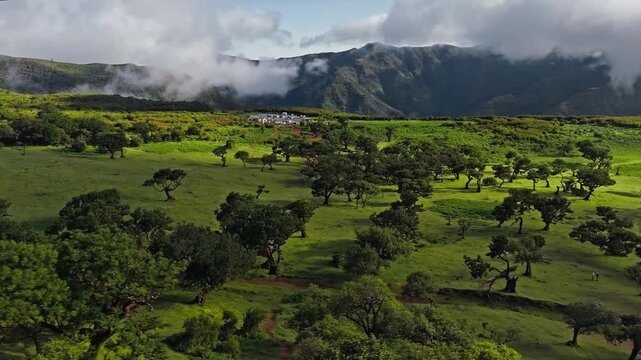 Aerial View of Green Mountain Plateau with Ancient Trees and Low Clouds